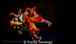 How flamboyant can you go .... ? by Tracey Jennings 